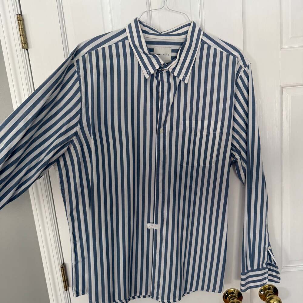 American Eagle Outfitters Men's Blue Striped Long Sleeve Button-Up Shirt